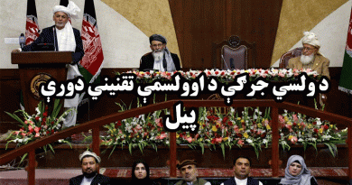 CSRS report on Afg Parliments 17 work round